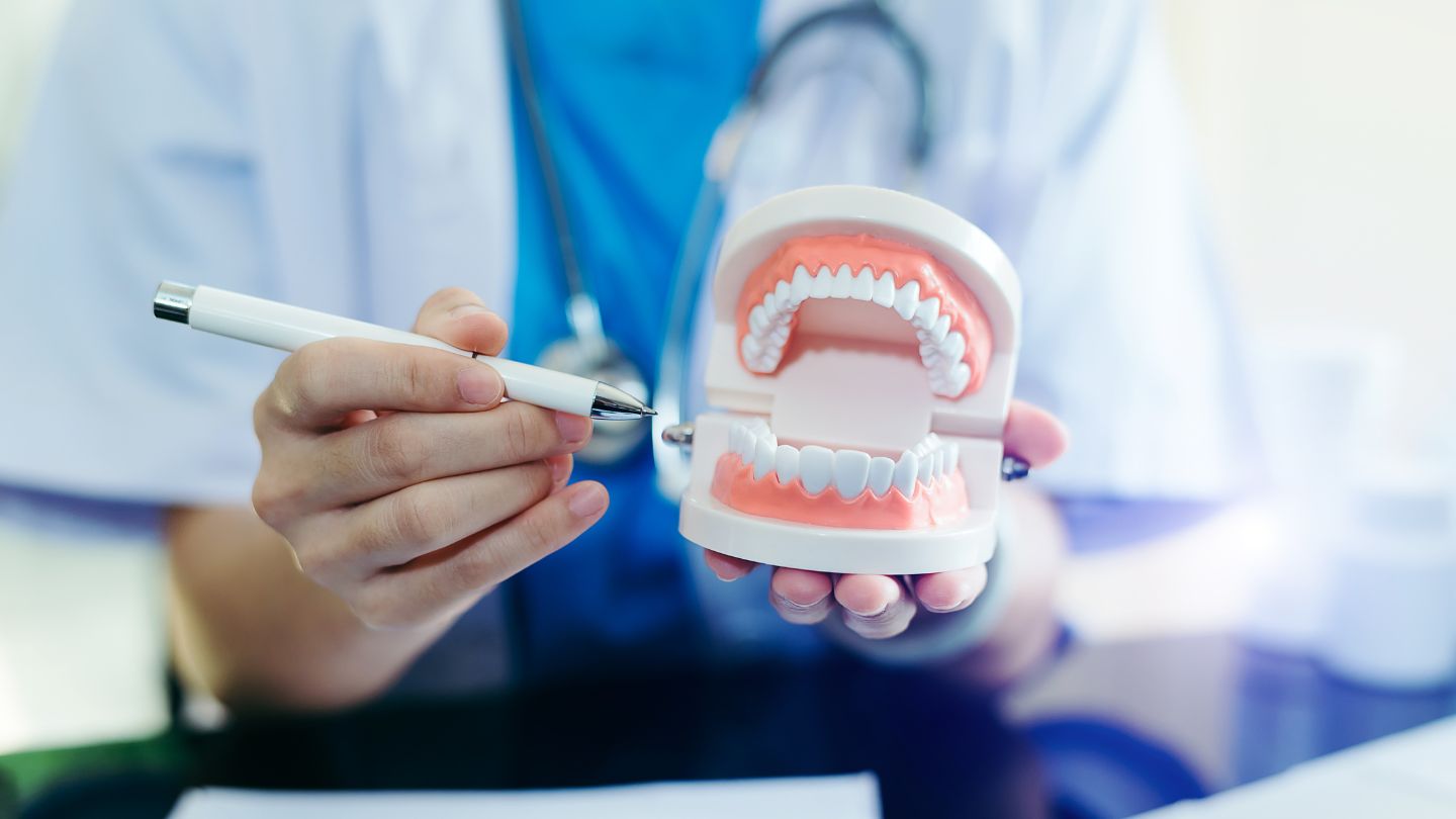 Dentist Explaining With Dental Model 1